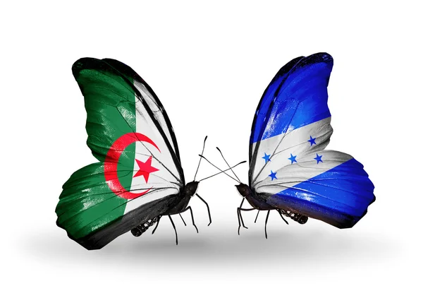 Dwa motyle z flagami stosunków, Algieria i Hondurasu — Zdjęcie stockowe