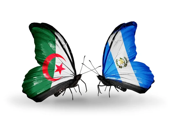 Due farfalle con bandiere di relazioni Algeria e Guatemala — Foto Stock