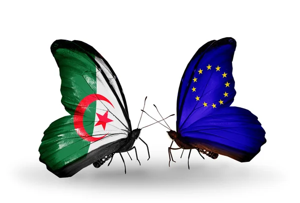 Dwa motyle z flagami stosunków, Algieria i Unii Europejskiej — Zdjęcie stockowe