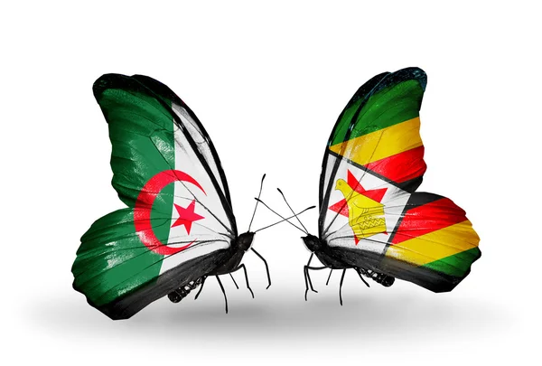 Zwei schmetterlinge mit fahnen der beziehungen algerien und zimbabwe — Stockfoto