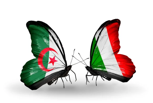 Zwei Schmetterlinge mit den Flaggen der Beziehungen Algerien und Italien — Stockfoto