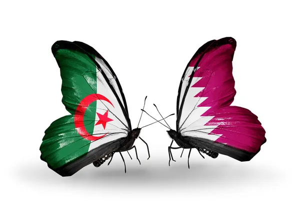 Two butterflies with flags of relations Algeria and Qatar — Stock Photo, Image