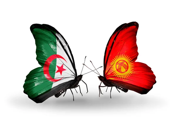Две бабочки с флагами отношений Алжир и Киргизия — стоковое фото