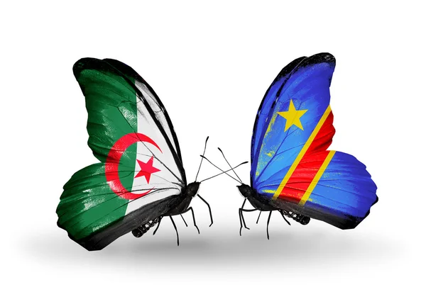Dos mariposas con banderas de relaciones Argelia y Kongo —  Fotos de Stock