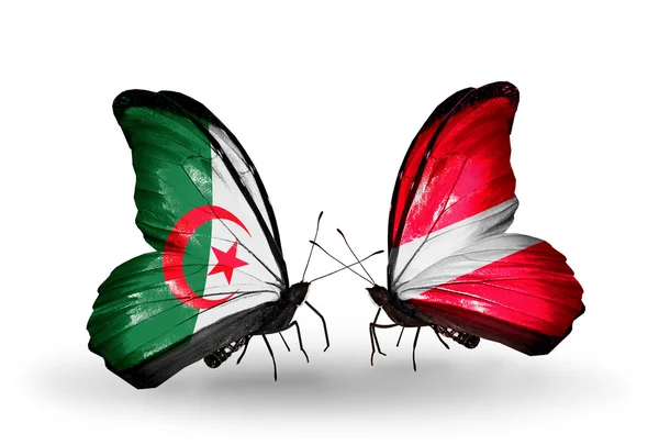 Duas borboletas com bandeiras de relações Argélia e Letônia — Fotografia de Stock
