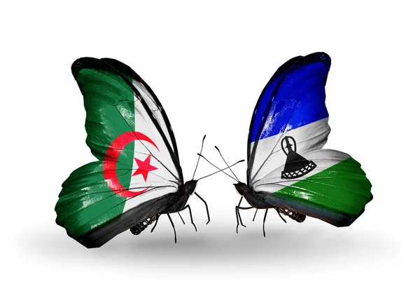 2 蝶関係のフラグとのアルジェリアそしてレソト — ストック写真