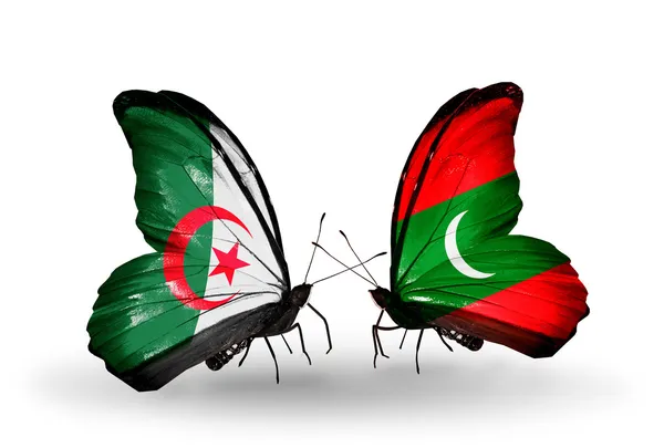 Two butterflies with flags of relations  Algeria and Maldives — Stock Photo, Image