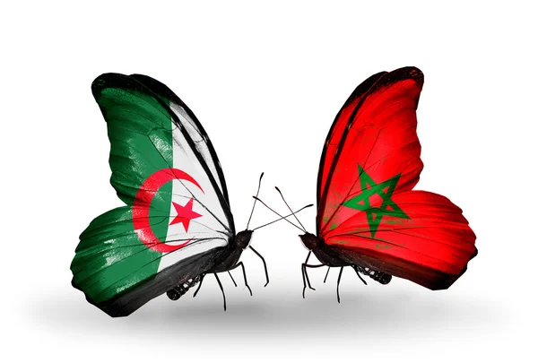 Dwa motyle z flagami stosunków Algierii i Maroka — Zdjęcie stockowe