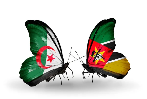 Deux papillons avec des drapeaux de relations Algérie et Mozambique — Photo