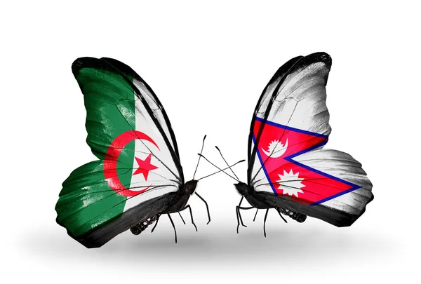 Две бабочки с флагами отношений Алжир и Непал — стоковое фото