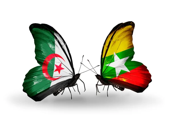 Dos mariposas con banderas de relaciones Argelia y Myanmar —  Fotos de Stock