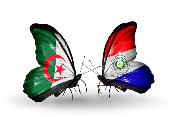 Deux papillons avec des drapeaux de relations Algérie et Paraguay — Photo