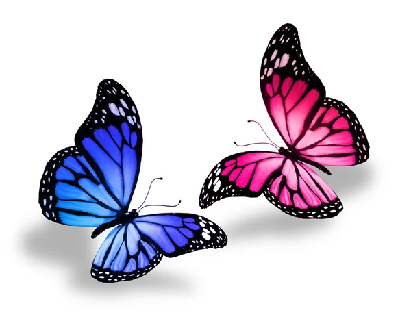 Розовые и голубые бабочки — стоковое фото