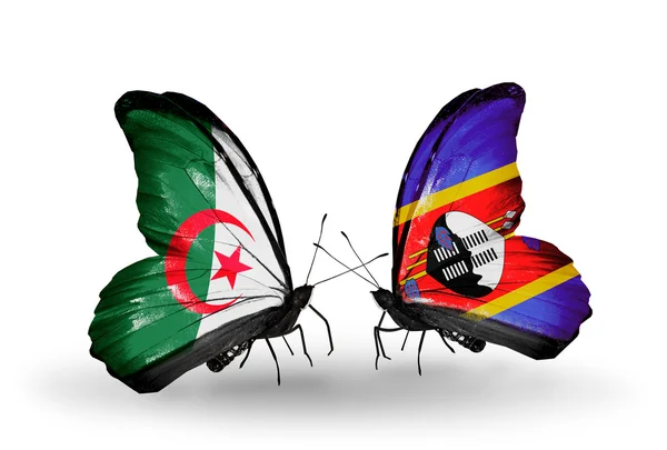 Two butterflies with flags of relations  Algeria and Swaziland — Stock Photo, Image
