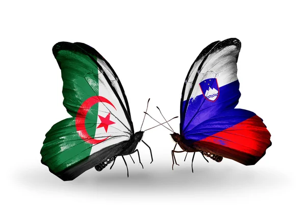 Two butterflies with flags of relations Algeria and Slovenia — Stock Photo, Image