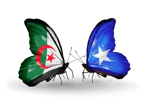 Две бабочки с флагами отношений Алжир и Сомали — стоковое фото