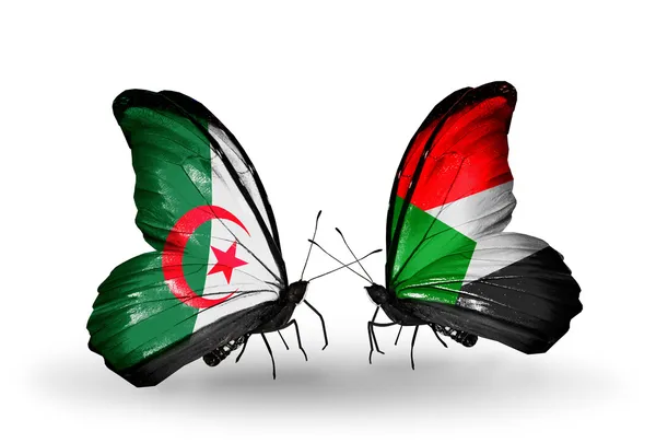 Deux papillons avec des drapeaux de relations Algérie et Soudan — Photo