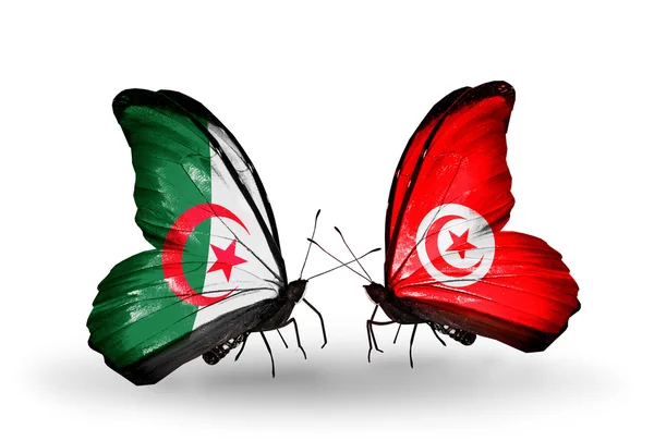 Two butterflies with flags of relations Algeria and Tunisia — Stock Photo, Image