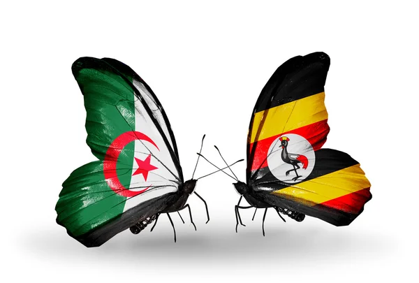Iki ilişkileri bayrakları ile Cezayir ve uganda kelebekler — Stok fotoğraf