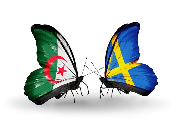 Две бабочки с флагами отношений Алжир и Швеция — стоковое фото