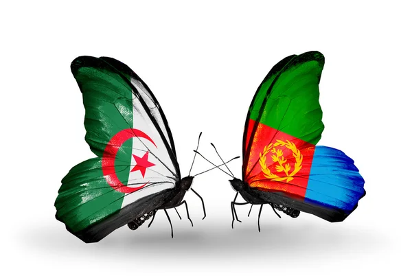 अल्जेरिया आणि इरिट्रिया संबंध ध्वज दोन फुलपाखरू — स्टॉक फोटो, इमेज