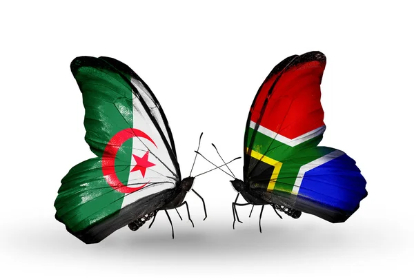 Two butterflies with flags of relations Algeria and South Africa — Stock Photo, Image