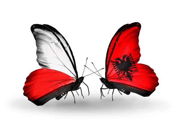 Mariposas con banderas de Polonia y Albania — Foto de Stock