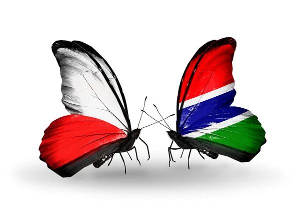 Polonya ve Gambiya bayrakları taşıyan kelebekler — Stok fotoğraf
