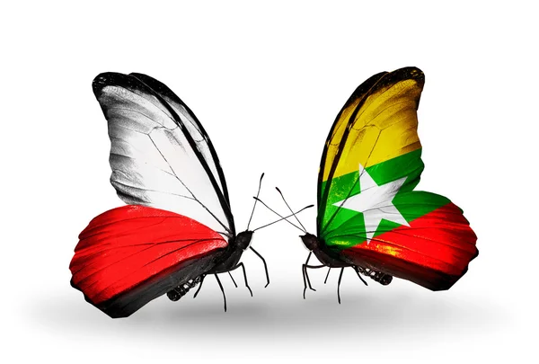 Две бабочки с флагами Польши и Мьянмы — стоковое фото