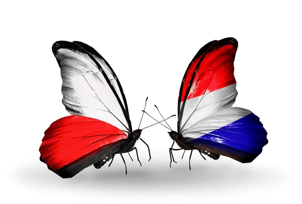 Dos mariposas con banderas de Polonia y Holanda — Foto de Stock