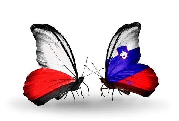 Two butterflies with flags  of Poland and Slovenia — Stock Photo, Image