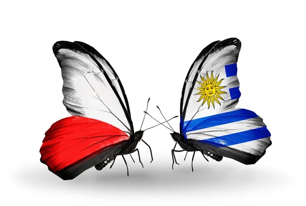 两只蝴蝶与波兰和乌拉圭国旗 — 图库照片