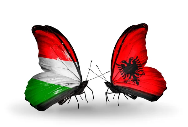 Macaristan ve Arnavutluk bayrakları taşıyan iki kelebek — Stok fotoğraf