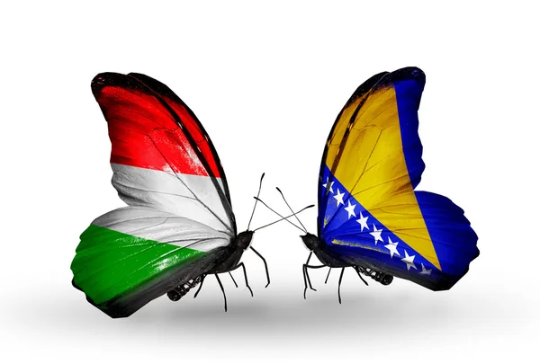 Two butterflies with flags  of Hungary and Bosnia and Herzegovina — Stock Photo, Image