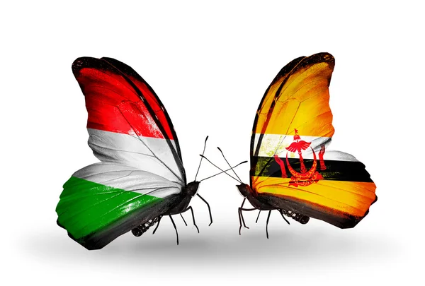 ハンガリー、ブルネイの国旗と 2 匹の蝶 — ストック写真