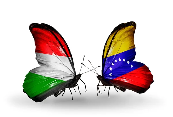 Zwei Schmetterlinge mit ungarischen und venezuela-Flaggen — Stockfoto