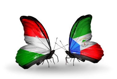 Macaristan ve Ekvator Ginesi bayraklarıyla kelebekler