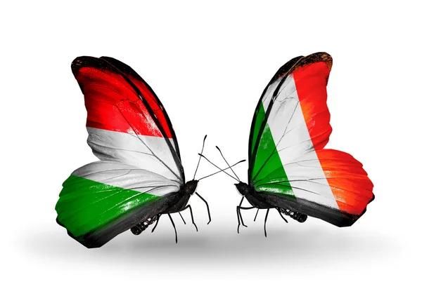 Two butterflies with flags  Hungary and Ireland — Stock Photo, Image