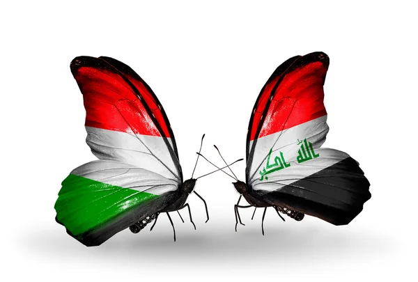Dva motýli s vlajkami, Maďarsko a v Iráku — Stock fotografie