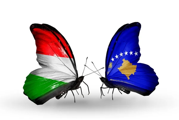 Iki kelebek ile Macaristan ve Kosova bayrakları — Stok fotoğraf