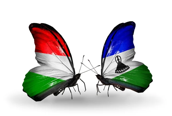 Zwei Schmetterlinge mit Fahnen ungarisch und lesotho — Stockfoto