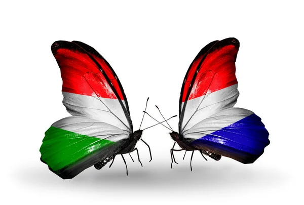 Dva motýli s příznaky Maďarsko a Holandska — Stock fotografie