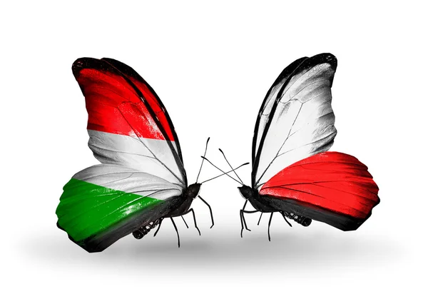 Two butterflies with flags Hungary and Poland — Stock Photo, Image