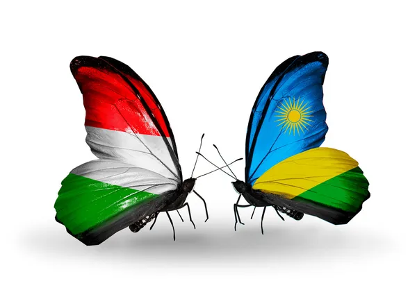 Deux papillons avec des drapeaux Hongrie et Rwanda — Photo