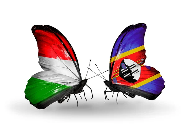 Macaristan ve Svaziland bayraklarıyla kelebekler — Stok fotoğraf