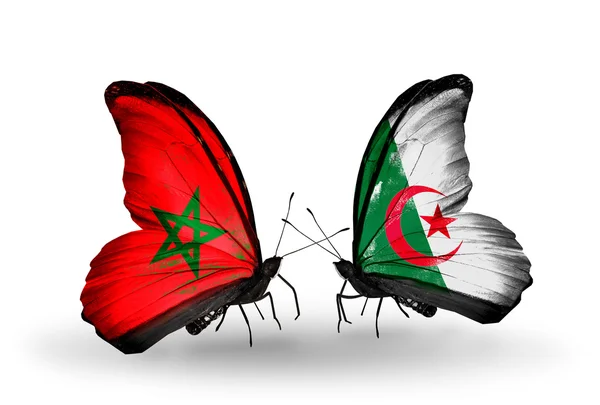 Fjärilar med flaggor Marocko och Algeriet — Stockfoto