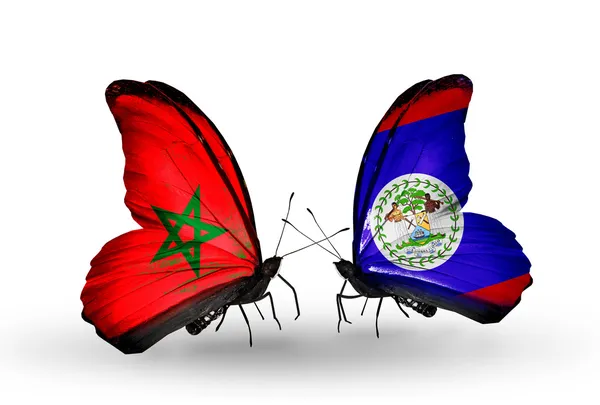 Butterflies with flags Morocco and Belize — Stock Photo, Image