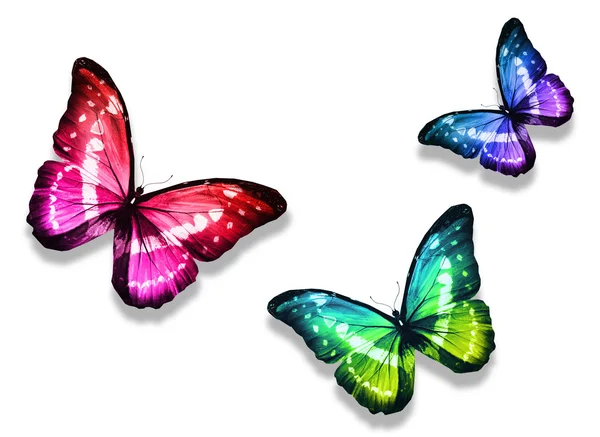 Trzy motyle — Zdjęcie stockowe