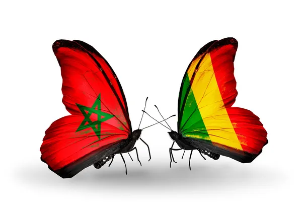 Бабочки с флагами Марокко и Мали — стоковое фото
