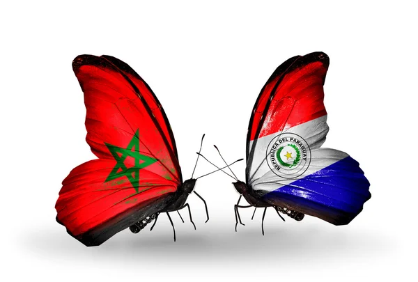 Butterflies with flags of Morocco and Paraguay — Stock Photo, Image